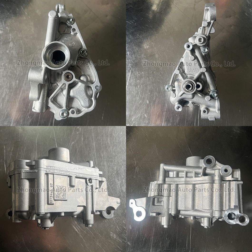 100% Factory Direct Wholesale Price OEM 11417613549 11417573747 for BMW 535 X5 335 X3 435 X6 135 X4 640 Z4 N55B30 Engine Oil Pump